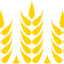 Grainland