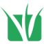 Gramas Tapete Verde