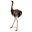 Grampians Old Man Emu Stay