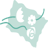 Grandiflora