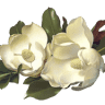 Grandiflora Bed & Breakfast