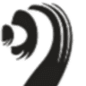 Grand Rapids Violins, LLC