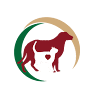 Grand Valley Animal Hospital