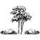 Grandview Nurseries, Inc.