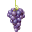 Grapevine Farms