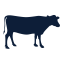 Grass Fed Cattle Co.