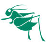 The Grasshopper Shop