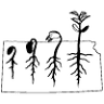 Grass Roots Garden Hub