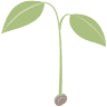 The Gratitude Garden Preschool