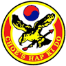 Choe's Hapkido Martial Arts and Kickboxing