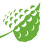 Golf Resort Czech Lipa