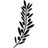 Great Lakes Olive Oil Co.
