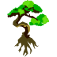 Green Conception