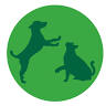GREEN DOG SQUARE