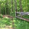 Green Adventure Project