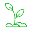Green Aquarium