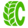 Greencar Detail