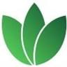 GreenClean Services