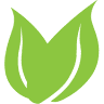 Green Cleaning & Recycling