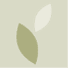 GreenCoffins