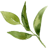 Greene Ivy Florist