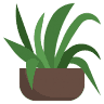 Greener Interieurbeplanting