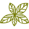 Green Leaf Dentistry - Dr. Jenny Howell