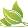 Green Leaf Spa