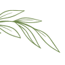 Green Leaves