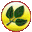 Green Leaves | JNRM Corporation