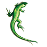 Green Lizard