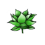 Green Lotus Dreams