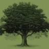 Green Oak Funeral Services