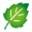Green Organics Pty Ltd