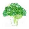 Greens | restaurant, garden