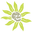 Greenslate Studio