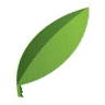 Green Source Janitorial