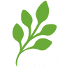 Greenspring Advisors