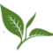 Green Suada Hotel