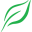 Greentree Dental