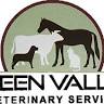 Green Valley Veterinary Service