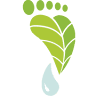 Greenville Foot & Ankle Center