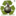 GREENWARRIOR 