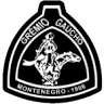 Grêmio Gaúcho
