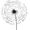 Gretchen Hambly Photography