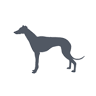 Lavenham Greyhound