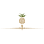 Gednetz-Ruzek & Brown Funeral Home: Brown Christopher