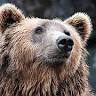 Grizzly Paw B&B and Garden