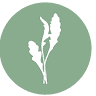 Groovy Greens, LLC