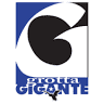 Grotta Gigante